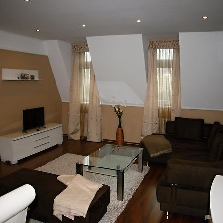 Apartman Dr. Engla Karlsbad Rum bild